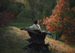 © kharchenkoirina - A girl in a vintage dress splits into particles, like ash. Background wild nature. Artistic Photography