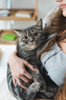 © LIGHTFIELD STUDIOS - cropped shot of young woman holding adorable tabby cat in hands