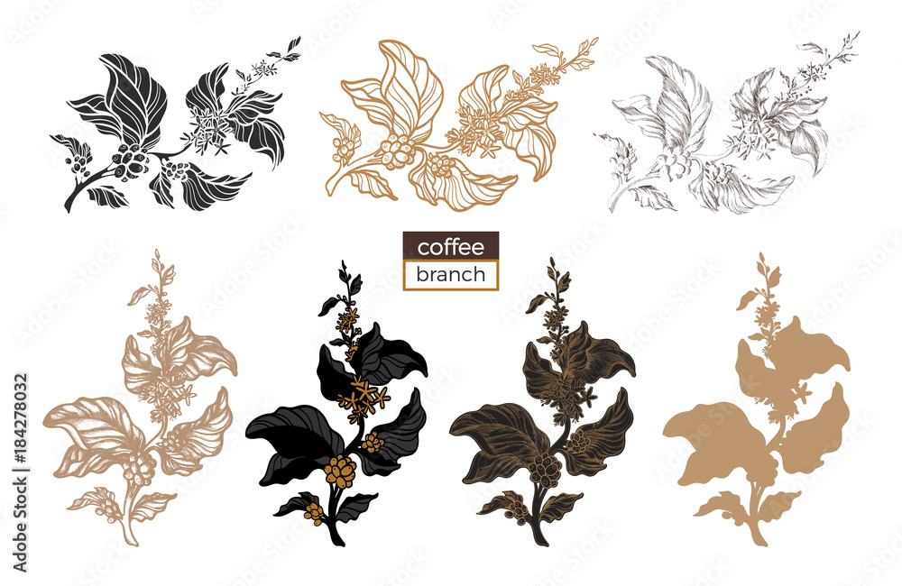 Vector set of coffee tree branch Stock Vector | Adobe Stock
