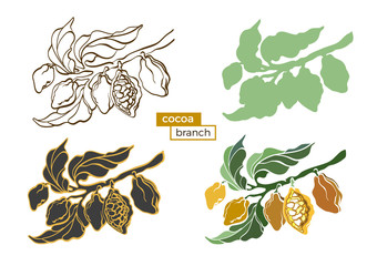 Vector icon of cocoa tree branch