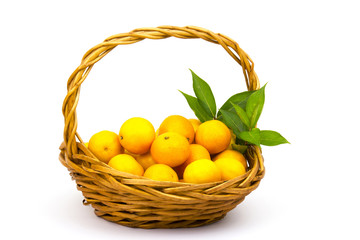 Wall Mural - tangerines in a basket on white background