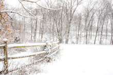 Winter Scene With Wooden Fence