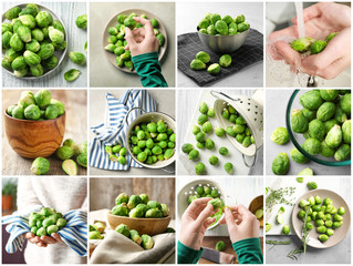 Canvas Print - Collage with fresh brussel sprouts