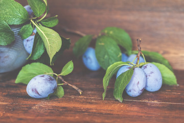 Wall Mural - Fresh plums with green leaves on the dark wooden table. Shallow depth of field. Toned.