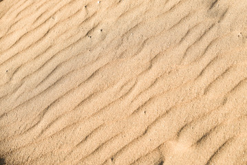  Sand texture