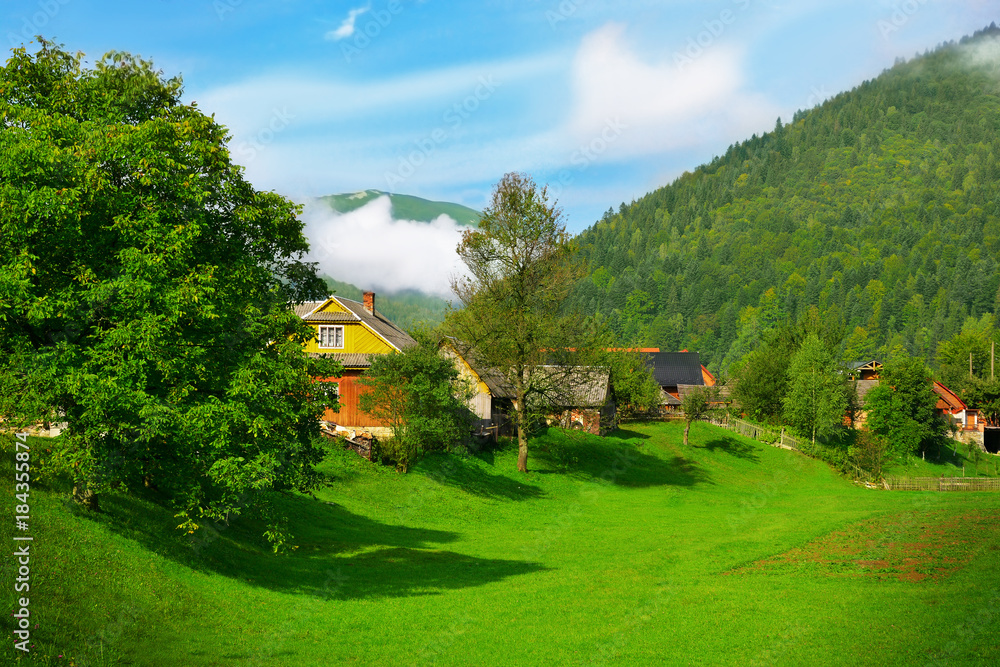 Beautiful view of countryside and green forest