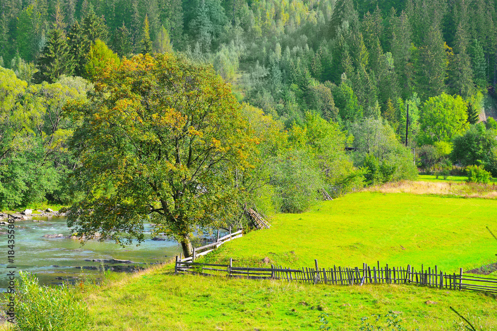 Beautiful landscape with paddock and mountain river