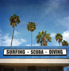 Wall Mural - aged and worn surfing and scuba sign with palm trees