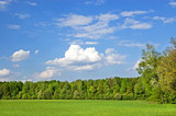 Fototapeta Na sufit - Fields and woods in Yasnaya Polyana, the former estate of the writer Leo Tolstoy