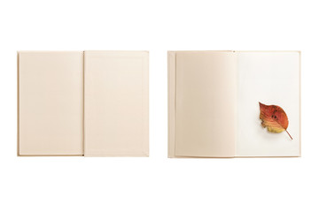 set of paper note with leaf isolated on the white background.