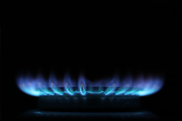 Gas burning in the burner over black background.