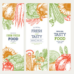 Wall Mural - healthy organic meal vertical banner collection. fresh vegetables design template. vector illustrati