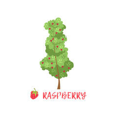 Sticker - Raspberry garden berry bush with name vector Illustration