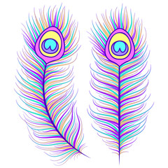 Poster - feathers on white background.