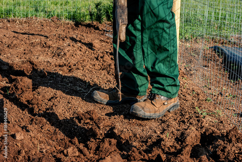 Fotografie, Obraz Lavorazione del terreno prima della coltivazione