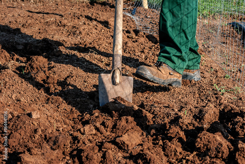 Fotografie, Obraz Lavorazione del terreno prima della coltivazione