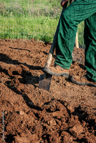 Fotografie, Obraz Lavorazione del terreno prima della coltivazione