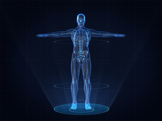 hologram human anatomy and skeleton,3d rendering