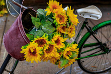 sunflower bike