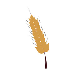 Poster - Harvest of wheat symbol icon vector illustration graphic design