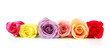 Colorful bouquet roses isolated over white background