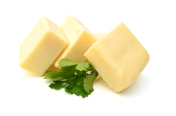 Cheese on white background