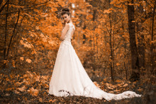 Beautiful Sensual Young Brunette Bride In Long White Wedding Dress And Veil Standing In Forest