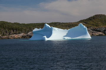 Twillingate