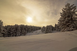 Fototapeta Do pokoju - Colorful winter morning in the mountains at sunrise 3