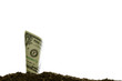 © amenic181 - Image of rolled bank note on top of soil for business, saving, growth, economic concept isolated on white background