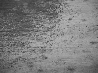 Rainy day with rain drops on the cement floor makes circles shape on the water surface.