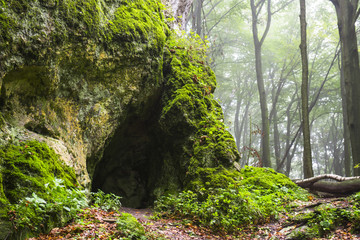 Canvas Print - Cave in foggy forest