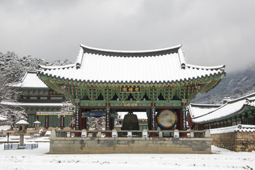 Poster - Beautiful winter landscape