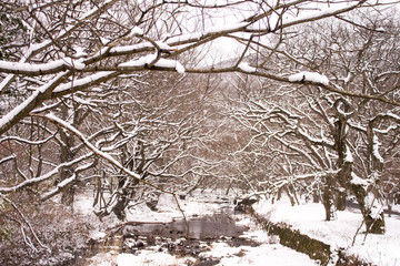 Sticker - Beautiful winter landscape