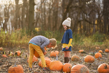 Boy And Girl Picking Pumpkins In A Pumpkin Patch