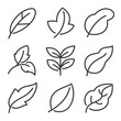 © TWINS DESIGN STUDIO - Leaves icon set. Collection of leaf logo design for green, eco, organic, food, beauty, health care brand identity. vector illustration .
