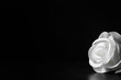 White rose flower on the dark background. Condolence card. Artificial flower. Empty place for a text.