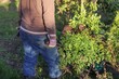 © avoferten - Gardener working in the vegetable garden. Autumn gardening, organic farming concept. Organic farming is an alternative agricultural system . It relies on fertilizers of organic origin such as compost