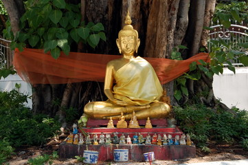 Ancient Golden Buddha under a tree, Bangkok, Thailand