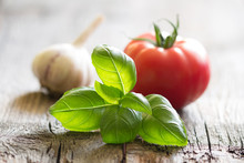 Basil Tomato And Garlic Italian Food Still Life On Vintage Planks