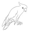 Cockatoo bird line art 05. Good use for symbol, logo, web icon, mascot, sign, coloring, or any design you want.