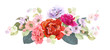 Bouquet of carnation schabaud, spring blossom. Horizontal border with red, mauve, pink flowers, buds, green leaves on white background. Digital draw illustration in watercolor style, vintage, vector