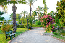 View Of Beautiful Park With Tropical Palms At Resort