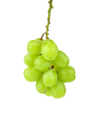 Canvas Print - Green grapes on white background