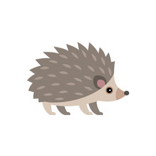 Vector Illustration Of Cute Hedgehog Isolated On Transparent Background.