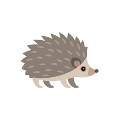 vector illustration of cute hedgehog isolated on transparent background.