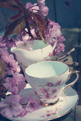 Wall Mural - Beautiful, English, vintage teacup with Japanese cherry tree blossoms, close upt