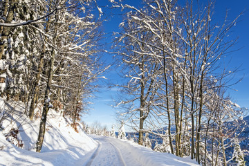 Curved path in beautiful winter landscape