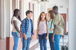 © jovannig - Multi ethnic teenagers classmates happy talking in schoolyard