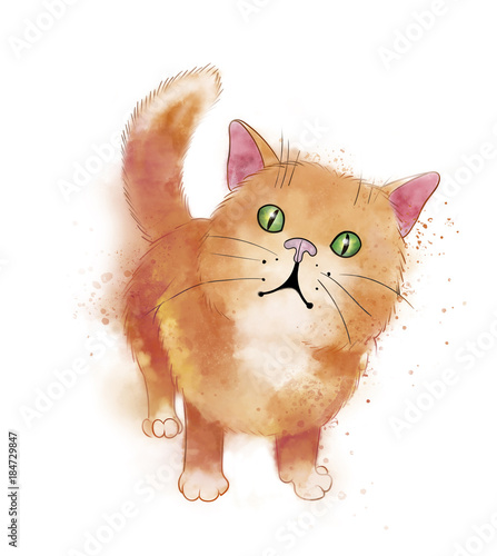 ginger munchkin kitten